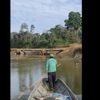 Isolated Amazon tribe seen near logging bridge site, alarming rights group
