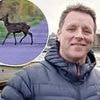 Motorists beware: hitting a deer can cost you dear - and late Spring is peak season for accidents