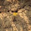 Canicule : la vigilance orange levée sur l’ensemble du pays