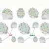 Using ChatGPT? It might make you STUPID: Brain scans reveal how using AI erodes critical thinking skills