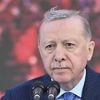 Bülent Mumay im Interview: "Die Türkei ist eine gruselige Zwiebel"