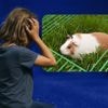 Charo brak tijdens het oppassen de nek van de cavia van haar vriendje: ‘Ik was volledig in paniek’