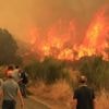 En proie à de violents incendies, l'Espagne appelle l'Union européenne à l'aide