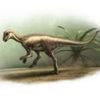 Dog-sized dinosaur that ran around feet of giants discovered