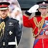 Unlikely royal with a very similar timeline to Prince Harry - including the loss of a parent, finding solace in the army then being forced to abandon his duties writes TESSA DUNLOP