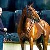 Former jockey who rescued injured children from school coach crash that killed boy, 10, says he 'can't sleep' from the horror of what he saw inside