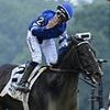 Where did your horse finish in the Belmont Stakes 2025?