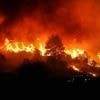 EN IMAGES. Nouvel incendie en Turquie : plus de 250 personnes évacuées
