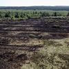 Vanaf dinsdag rode vlaggen in Hoge Venen wegens brandgevaar