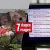 Alleen de echte nieuwsjunk maakt deze wekelijkse quiz foutloos