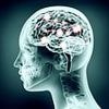 Popular supplements everyone takes that raise the risk of Alzheimer's