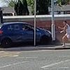 Instant karma for 'road rage' driver who tried to mow down fleeing pedestrian