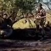 Einsatz für Russland?: Video gibt Hinweis auf iranische Soldaten in der Ukraine