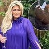 Gemma Collins grows her own vegetables and keeps chickens as she works on her off grid garden to maintain two stone weight loss