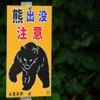 'Bear attack victim' was actually killed by son, Japan police say