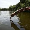 Alarming 1000% rise in bug-ridden FAECES detected in some of UK's swimming hotspots - is your favourite pool contaminated?