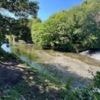 Boy, 15, dies in river incident on hottest day