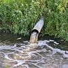 Thames Water investors beg Keir Starmer to step in and save debt-ridden water company from collapsing after clashing with Ofwat over future fines