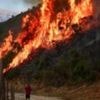 Wildfires rage across southern Europe as temperatures top 40C