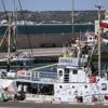 Un nouveau bateau humanitaire de la Flottille de la liberté part dimanche pour tenter de rejoindre Gaza