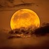 A full Flower Moon will bloom in the night sky TONIGHT... here's the best time to see the cosmic wonder