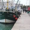 « Les pêcheurs ont sauté dans l’eau »: une personne âgée chute dans le port de Saint-Vaast-la-Hougue