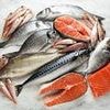 Fears as food safety chiefs reveal 1 in 10 salmon fillets sold at major supermarkets found to contain killer food poisoning bug - some resistant to antibiotics