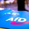 „AfD wird aus Protest gewählt – das kann man nicht verbieten“: Führende Unionsleute bleiben bei AfD-Verbotsthema skeptisch
