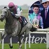 Field of Gold claims Irish 2,000 Guineas crown to atone for British blow - after John and Thady Gosden's prospect faltered at Newmarket