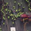 Liverpool : 47 blessés après qu’une voiture a foncé dans la foule