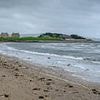Horror as human leg 'with sock and shoe still on it' washes up on beach - as police link it to body found 70 miles away