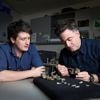 Australische wetenschappers ontdekken restanten van prehistorische walvis met vlijmscherpe tanden