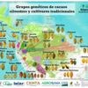 El cacao boliviano se posiciona en el mapa genético global del grano