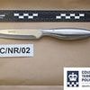 Teenage Muslim-convert who plotted Isle of Wight Festival terror attack and has knifed TEN prison officers since being jailed is named for the first time