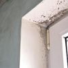 Lage temperatuur in huis betekent meer kans op schimmel, zo kom je er vanaf