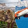 EasyJet launches flights to always-sunny destination that's home to gorgeous beaches and Europe's only wild monkeys