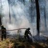 Feux de forêt : trois départements du Sud placés en vigilance rouge, ce lundi