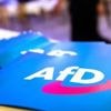 Gesichert rechtsextremistisch: Brandenburgs CDU bezweifelt Sinn von AfD-Verbotsverfahren