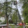 Unfall in Berlin-Frohnau: BVG-Linienbus fährt in Auto – Feuerwehr muss Baum und Laterne entfernen