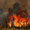 Spanje vraagt om internationale hulp bij bestrijden aanhoudende natuurbranden
