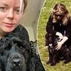 I thought my £2,500 cocker spaniel puppy from an award-winning Crufts litter would be the perfect pet - but I've been left thousands out of pocket