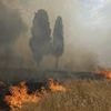 Southern Europe burns: 'Apocalyptic' wildfires rage in holiday hotspots with 14 people killed in Turkey, Greece battling 50 blazes in a day and villages razed to the ground in Albania