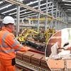 Shares in brickmaker Ibstock tumble as housing market recovery leads to higher costs