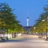 Berlin bekommt ein Baum-Gesetz : Volksbegehren zum Hitzeschutz kann starten