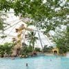 Center Parcs slachtoffer van cyberaanval: gegevens van 20.000 klanten buitgemaakt