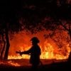 Feux de forêts : la CGT des pompiers demande à Bruno Retailleau "des moyens humains, des moyens matériels"