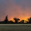 Sachsen und Brandenburg: Waldbrand in Gohrischheide - Evakuierung in weiterem Ort