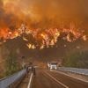 Wildfires threaten Turkey's fourth-largest city as locals are evacuated