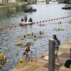 Les baignades dans la Seine ont été perturbées par les pluies de juillet