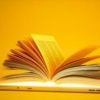 Print ist tot, lang lebe das iPad?: Was unser Gehirn lieber will